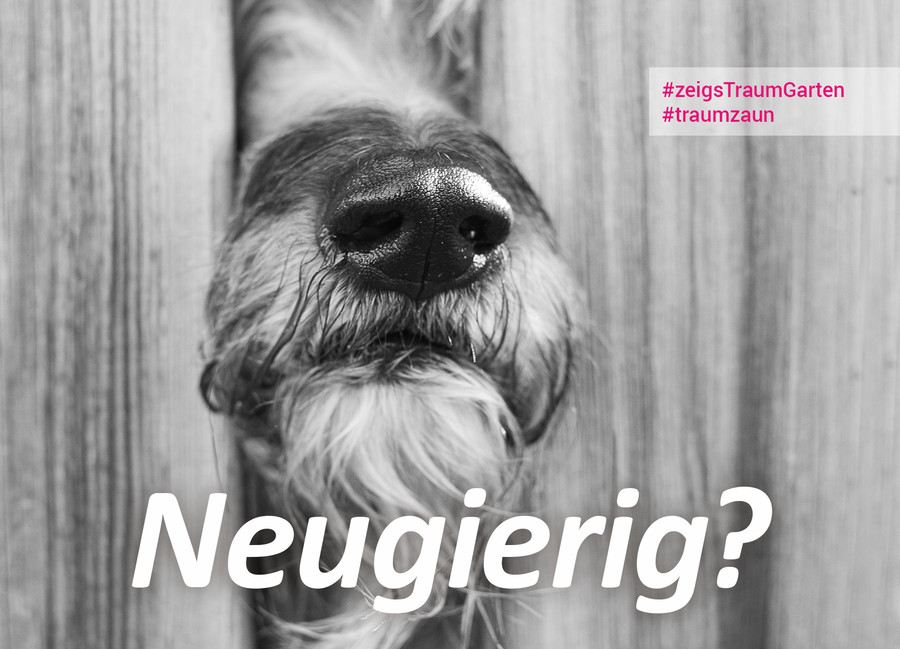 Neugierig? #traumzaun