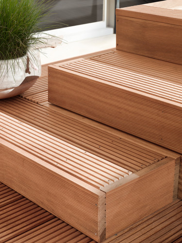 DREAMDECK TALI DREAMDECK TALI