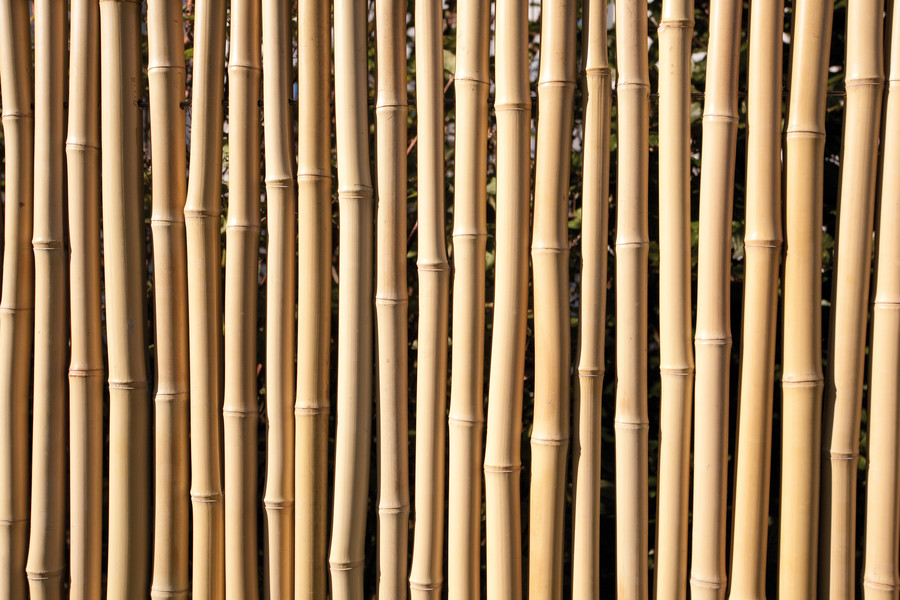 Zaunserie BAMBU aus natürlichen Bambusstäben