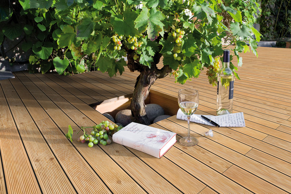 DREAMDECK ALTAI DREAMDECK ALTAI