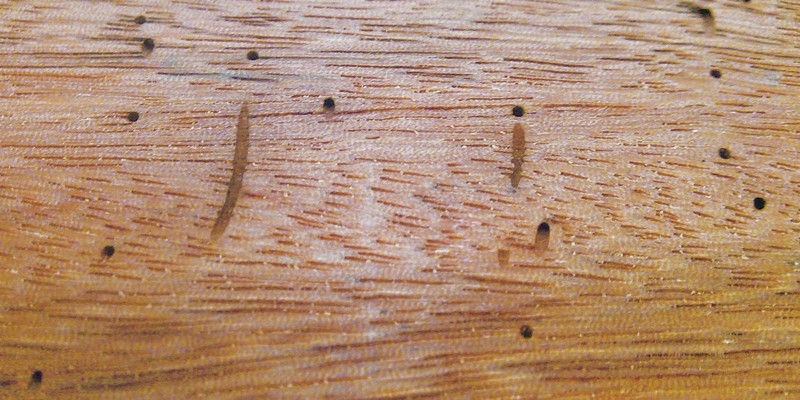 pinholes pinholes
