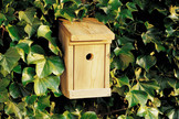 PIEPMATZ Vogelhaus PIEPMATZ Vogelhaus